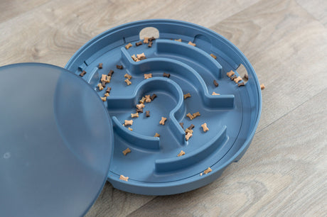 Ein runder, blauer Futterlabyrinth mit kleinen hundeknochenförmigen Leckerlis verteilt, auf Holzboden.