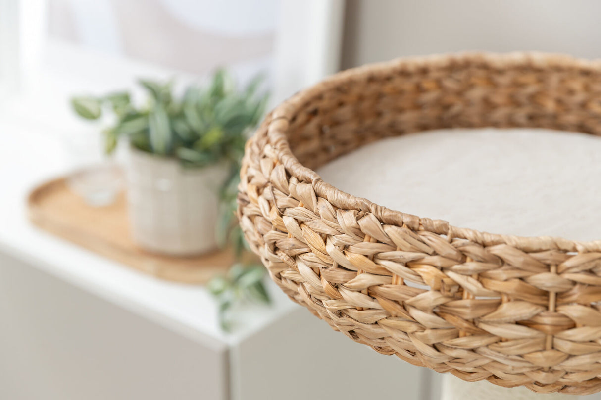 Ein geflochtener Korb aus Naturmaterial steht vor einer unscharfen Pflanze im Hintergrund.