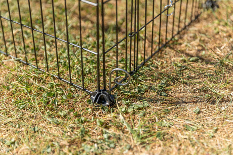Ecke eines schwarzen Metallgeheges für Tiere auf einer Wiese.