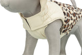 Ein graues Hundemodell trägt eine beige Hundejacke mit Leopardenmuster und Klettverschluss.