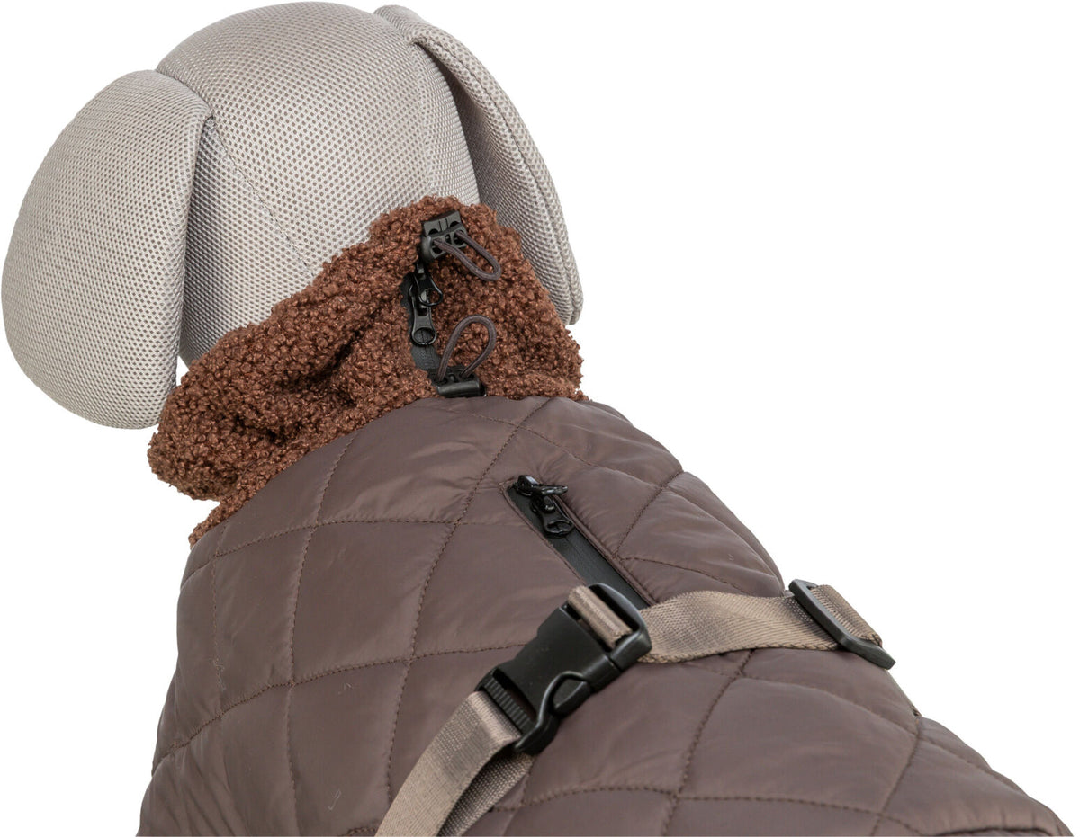 Grauer Hundemantel mit braunem Kragen und schwarzen Reißverschlüssen auf einem Hundegeschirrimitat.