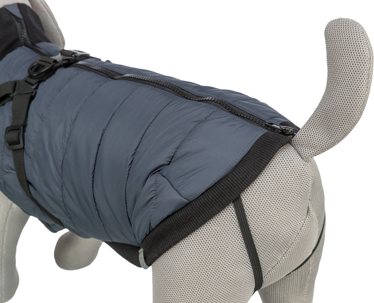 Grauer Stoffhund trägt einen dunkelgrauen Hundemantel mit Zipper und verstellbaren Gurten.