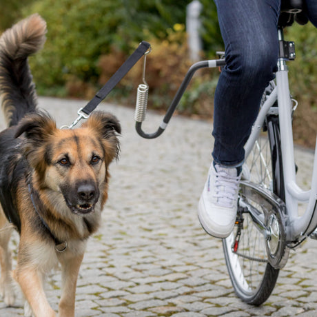 Eine Person auf einem Fahrrad führt einen großen, braun-schwarz gefleckten Hund an einem seitlichen Fahrradhalter auf einem gepflasterten Weg.