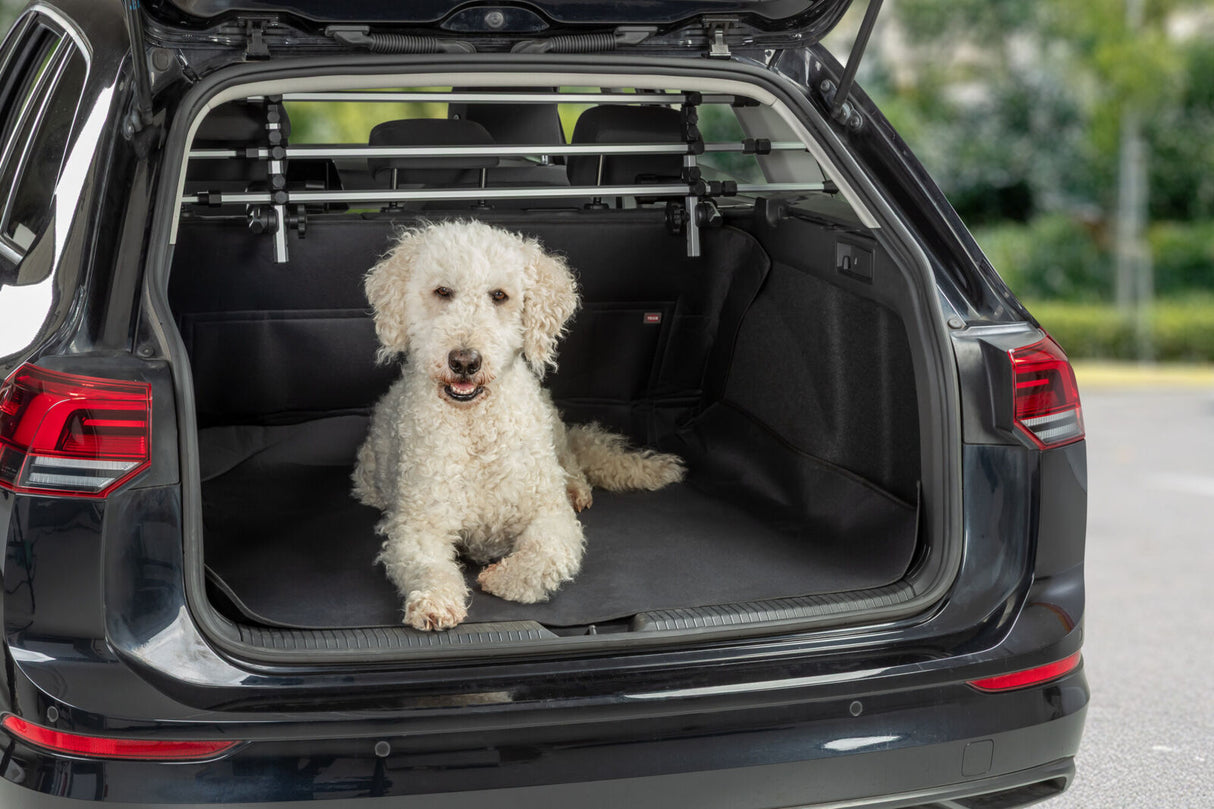 Ein weißer Hund sitzt im Kofferraum eines offenen Autos auf einer Schutzmatte.