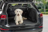 Ein weißer Hund sitzt im Kofferraum eines offenen Autos auf einer Schutzmatte.