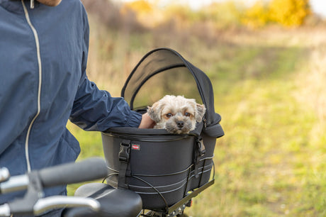 Kleiner Hund sitzt in einer Fahrradbox mit Abdeckung, gehalten von Person in blauer Jacke.