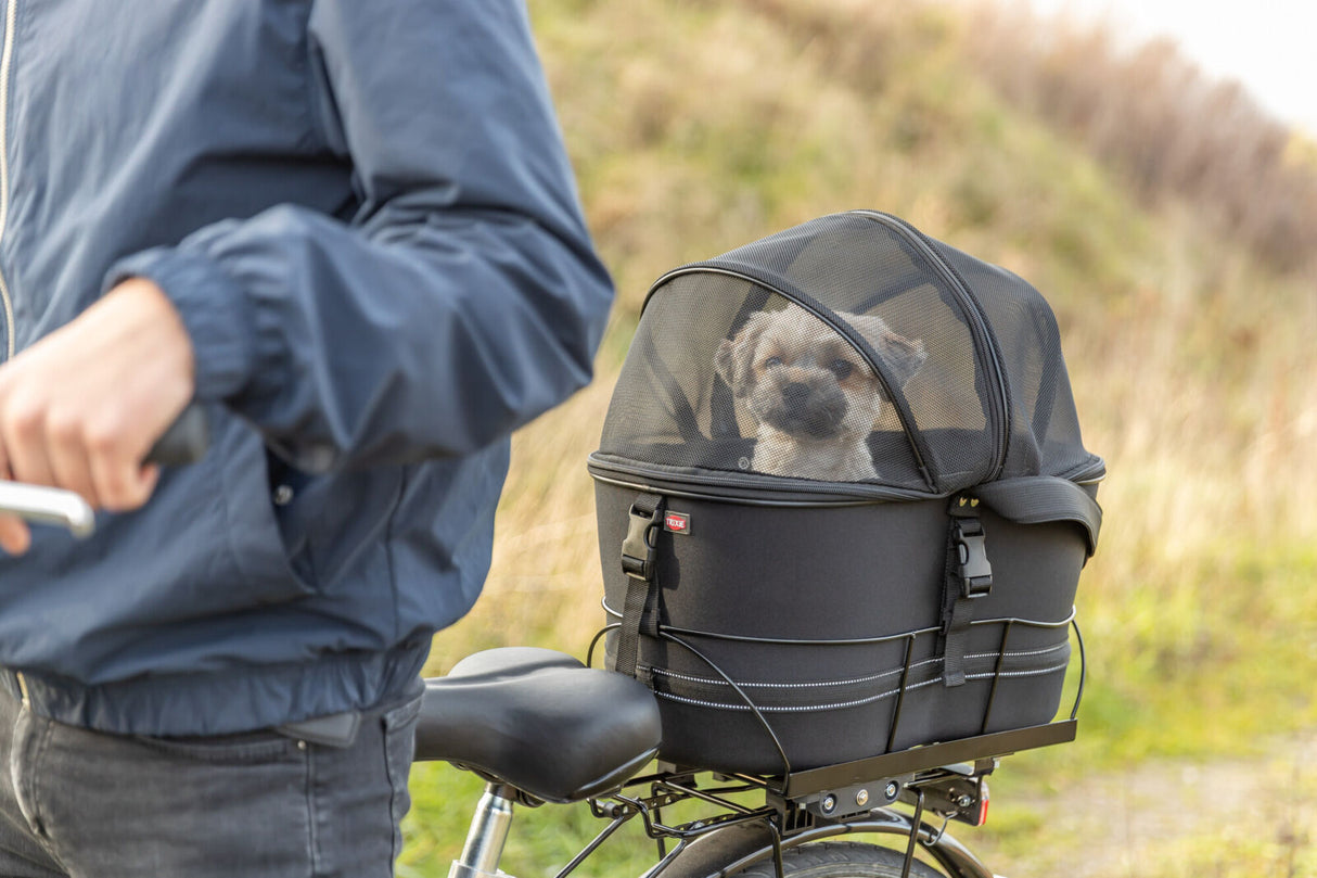 Hund sitzt in schwarzem Fahrradkorb mit Netzabdeckung auf einem Fahrrad im Freien.