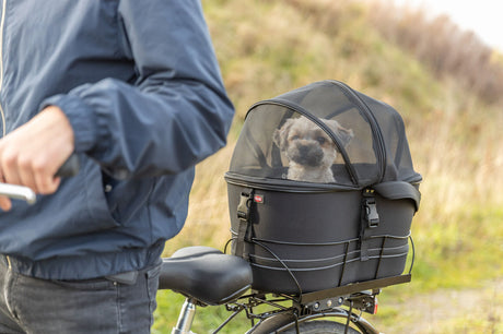 Hund sitzt in schwarzem Fahrradkorb mit Netzabdeckung auf einem Fahrrad im Freien.