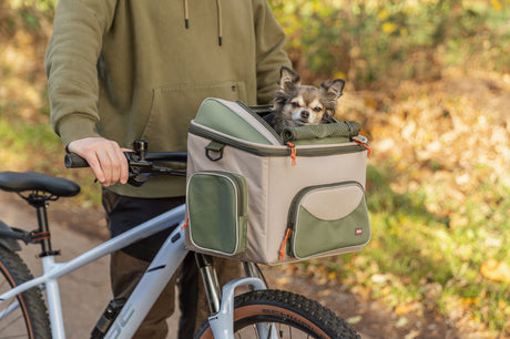 Kleiner Hund sitzt in einer grünen Transporttasche auf einem Fahrradlenker im Freien.