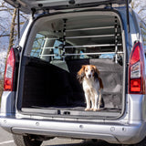 Auto mit geöffnetem Kofferraum, darin steht ein kleiner Hund vor einem Gitter, draußen scheint die Sonne.