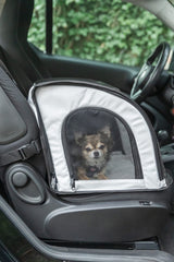 Kleiner Hund sitzt in einem weißen Transportrucksack auf einem Autositz.