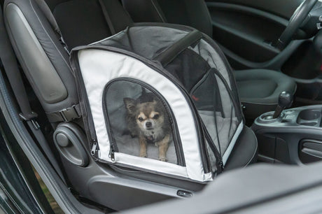 Kleiner Hund sitzt in schwarzer und weißer Transporttasche auf Autositz.
