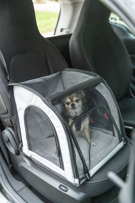 Ein kleiner Hund sitzt in einem Transportkorb auf dem Beifahrersitz eines Autos.