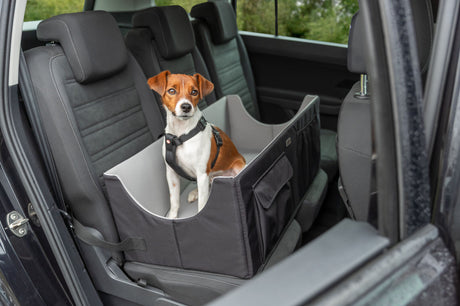 Hund sitzt in einem Autositz für Hunde auf der Rückbank eines Autos.