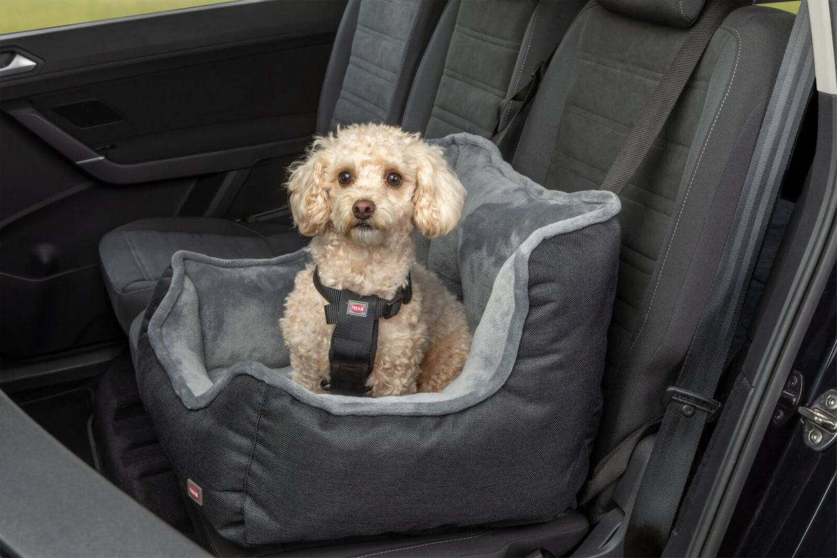 Ein kleiner Hund sitzt in einem grauen Hundesitz auf einem Autositz.