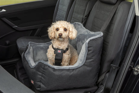 Ein kleiner Hund sitzt in einem grauen Hundesitz auf einem Autositz.