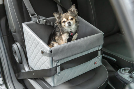 Ein kleiner Hund sitzt in einem grauen Autositz mit Sicherheitsgurt auf dem Beifahrersitz eines Autos.