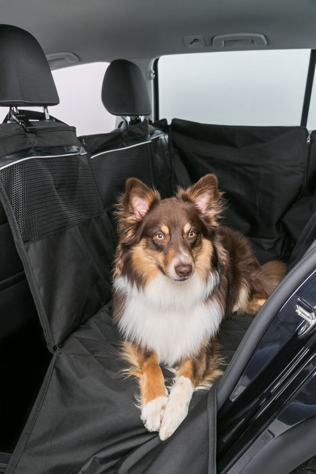 Hund liegt auf schwarzem Autositzschutz im Auto, Hinterbänke sind mit schwarzem Bezug geschützt.