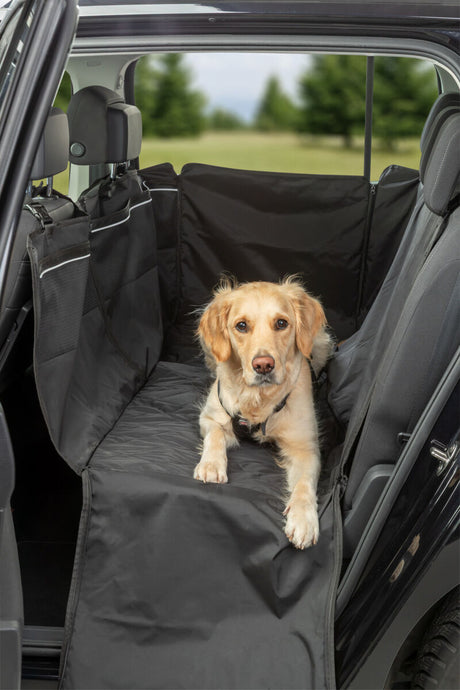 Hund liegt auf schwarzer Autoschondecke auf der Rückbank eines Autos.