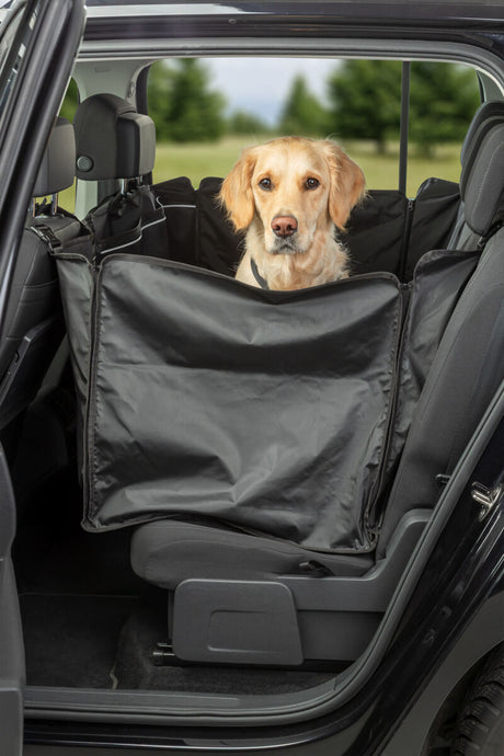Ein Hund sitzt in einem schwarzen Kofferraumschutz im Auto, umgeben von grüner Landschaft.