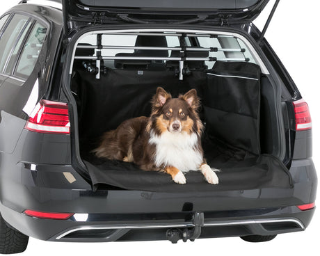Ein Hund liegt auf einer schwarzen Schutzmatte im geöffneten Kofferraum eines grauen Autos.