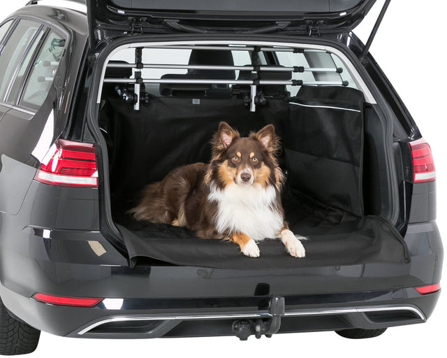Ein Hund liegt auf einer schwarzen Schutzmatte im geöffneten Kofferraum eines grauen Autos.