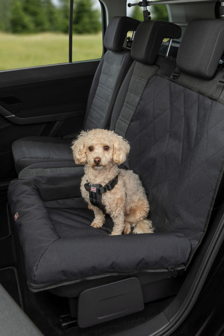 Ein kleiner, beiger Hund sitzt mit Hundegeschirr auf einem Autositz mit schwarzer Schutzdecke.