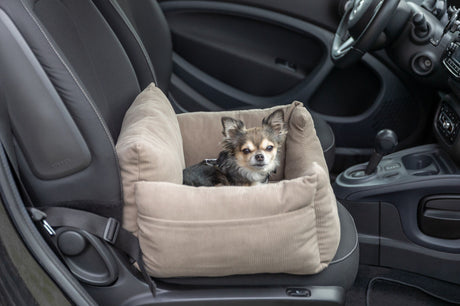 Ein kleiner Hund sitzt in einem beige gepolsterten Sitz auf dem Beifahrersitz eines Autos.