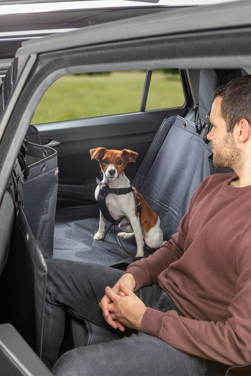Ein kleiner Hund mit Geschirr sitzt auf dem Rücksitz eines Autos neben einer Person.