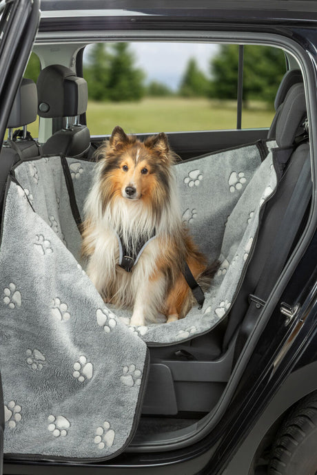 Hund sitzt in grauer Autodecke mit Pfotenmuster im Auto.