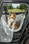 Hund sitzt in grauer Autodecke mit Pfotenmuster im Auto.