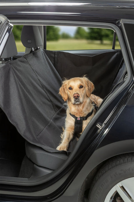 Ein Hund sitzt auf einer schwarzen Autoschondecke im geöffneten Auto.