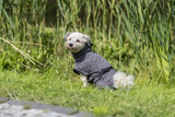 Ein kleiner Hund in einem grauen Mantel sitzt auf einer Wiese mit hohem, grünem Gras im Hintergrund.
