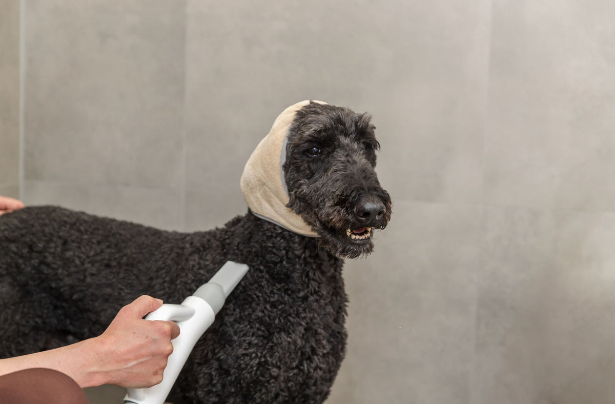 Ohrenschutz Snood