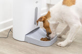 Ein Hund frisst Trockenfutter aus einem grauen Napf eines weißen Futterautomaten auf einem Holzboden.