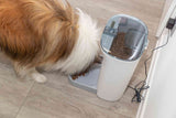 Ein Hund frisst aus einem automatischen Futterspender mit durchsichtiger Abdeckung auf einem Holzboden.