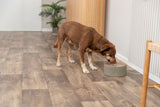 Trinkbrunnen Brook