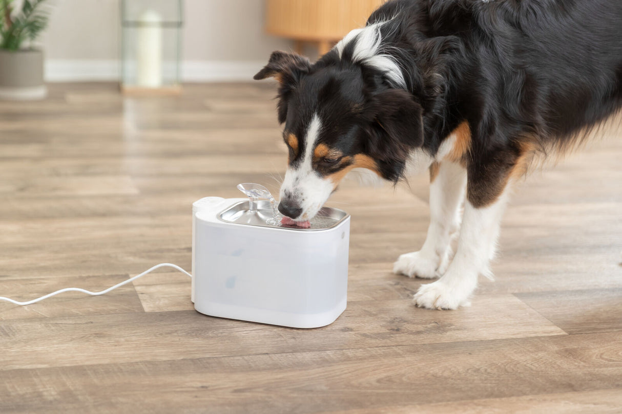Aqua Square Trinkbrunnen für Hunde mit Bewegungserkennung und Edelstahltrinkschale
