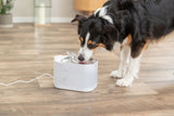 Aqua Square Trinkbrunnen für Hunde mit Bewegungserkennung und Edelstahltrinkschale