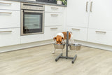 Hund trinkt aus einem von zwei erhöhten Metallnäpfen in einer modernen Küche mit weißen Schränken und Holzboden.