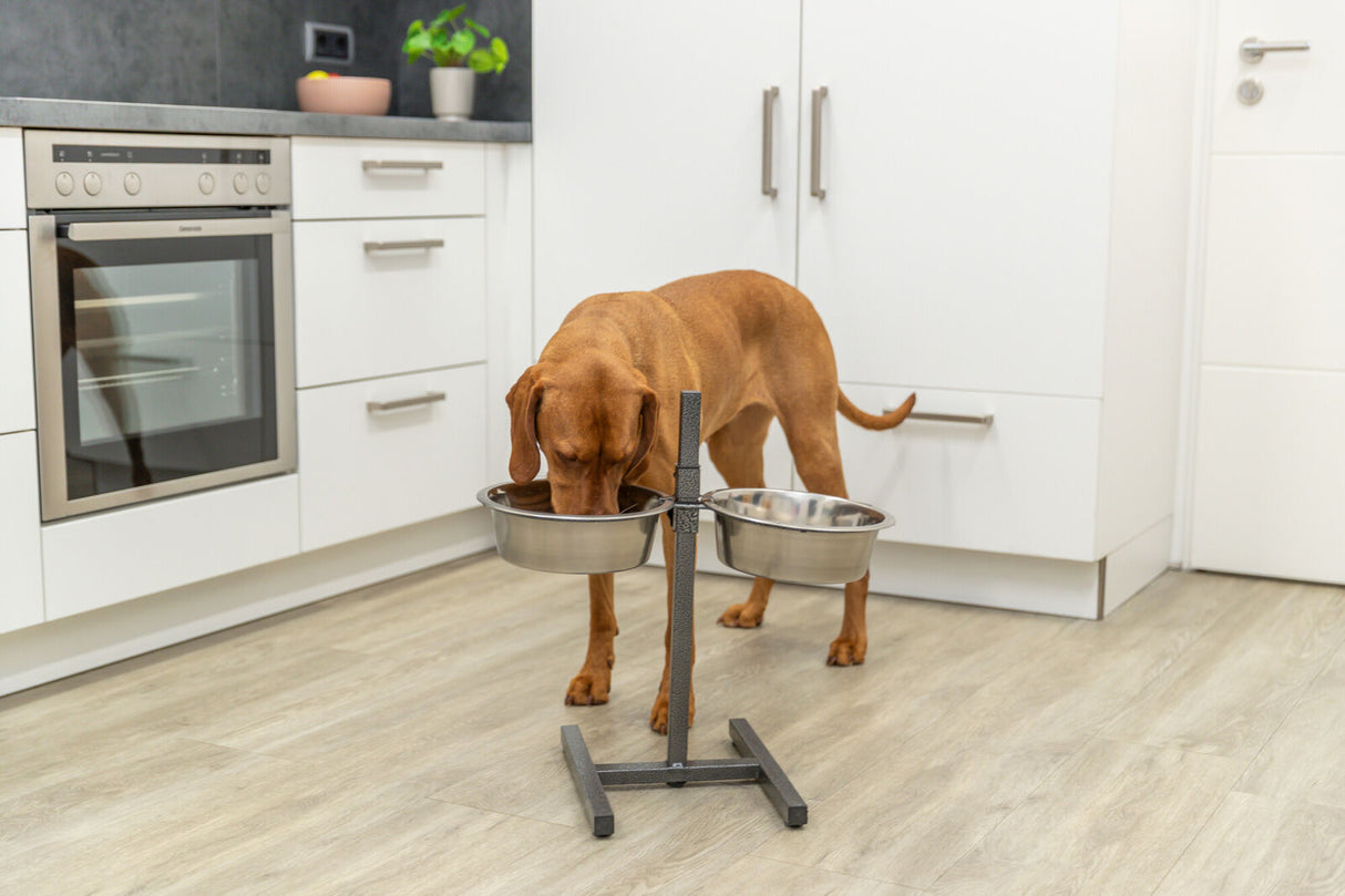 Hund trinkt aus einem erhöhten Doppelnapf in moderner weißer Küche mit grauem Boden und Backofen.