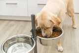 Ein Hund frisst aus einem erhöhten Napf mit Trockenfutter neben einer Schüssel mit Wasser auf einem Holzboden.
