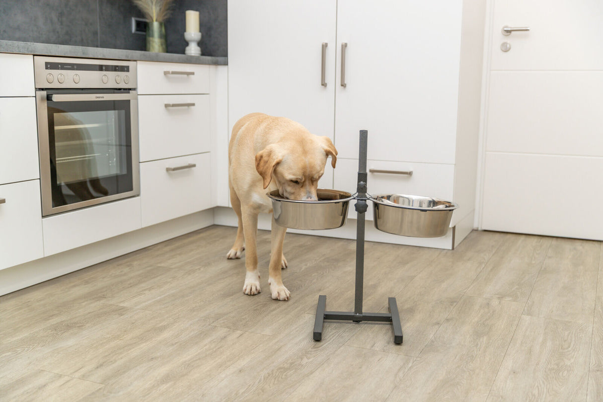 Ein Hund frisst aus einem erhöhten Futterständer mit zwei Edelstahlschüsseln in einer modernen Küche.