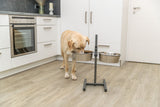 Ein Hund frisst aus einem erhöhten Futterständer mit zwei Edelstahlschüsseln in einer modernen Küche.