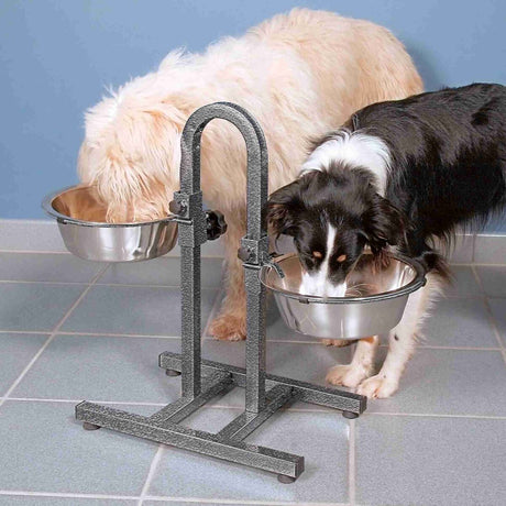 Zwei Hunde fressen aus höhenverstellbaren Futternäpfen aus Edelstahl auf einem robusten Ständer, der auf Fliesen steht.