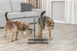 Zwei Hunde trinken aus erhöhten Futternäpfen in einem Wohnraum mit grauem Sofa und hellem Holzboden.