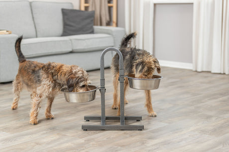 Zwei Hunde trinken aus erhöhten Futternäpfen in einem Wohnraum mit grauem Sofa und hellem Holzboden.