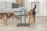 Zwei Hunde trinken aus erhöhten Futternäpfen in einem Wohnzimmer mit Holzboden und grauem Sofa.