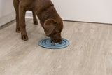 Ein brauner Hund frisst aus einem blauen Napf mit erhöhten Strukturen auf einem Holzboden.