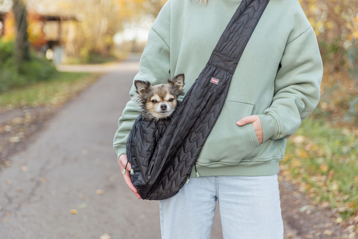Kleiner Hund sitzt in schwarzer Tragetasche, die von Person mit grüner Jacke getragen wird.